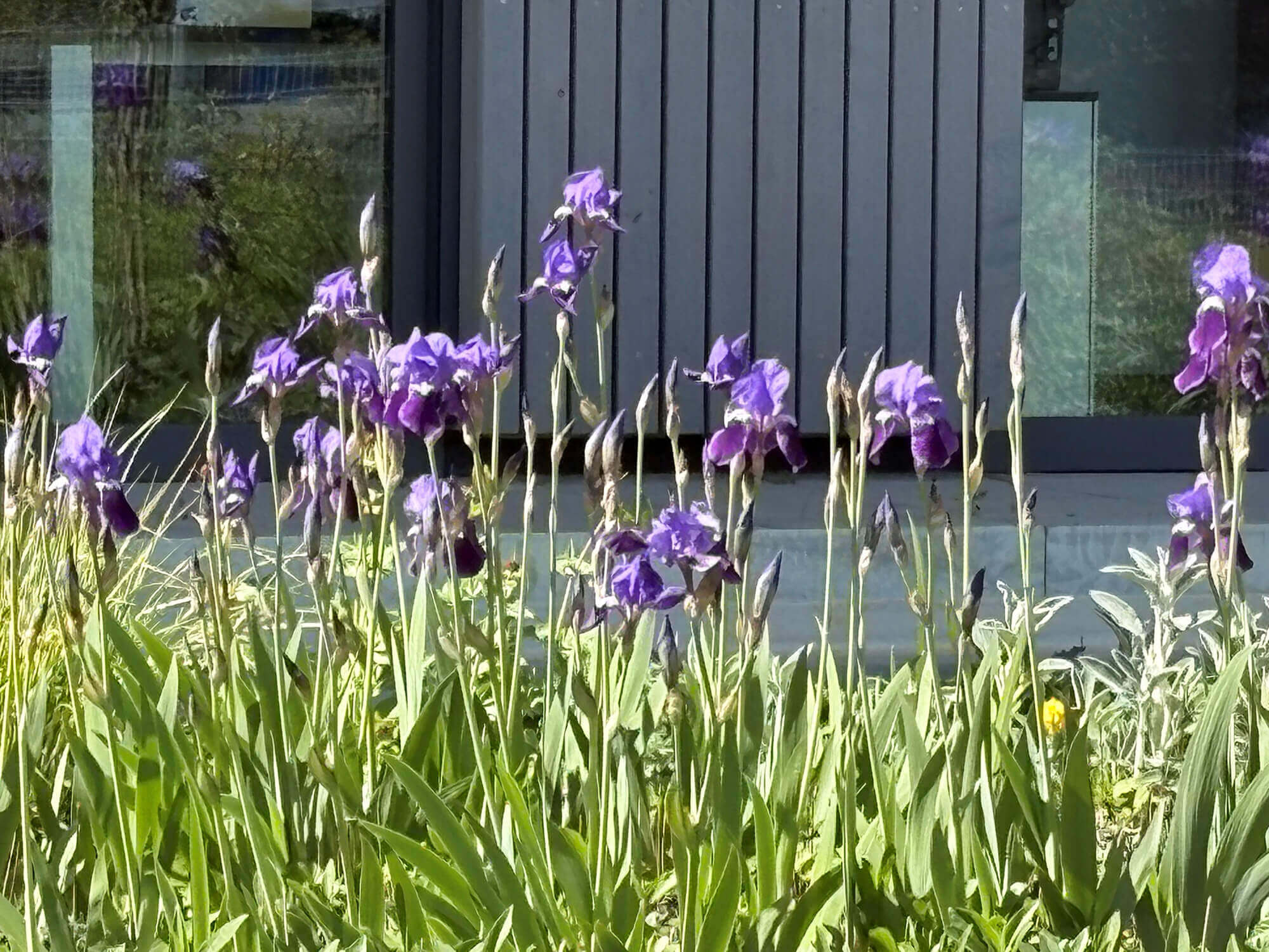 Frühling bei LÖW Ingenieure